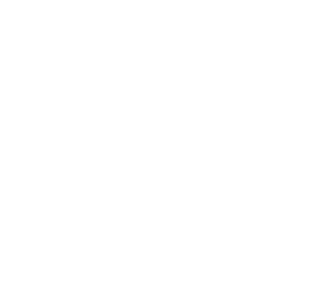 The Adam Raine Foundation